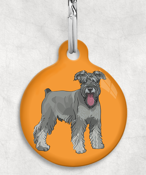 schnauzer-Zonder-Naam-huisdierpenning-oranje