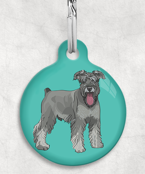 schnauzer-Zonder-Naam-huisdierpenning-turquoise