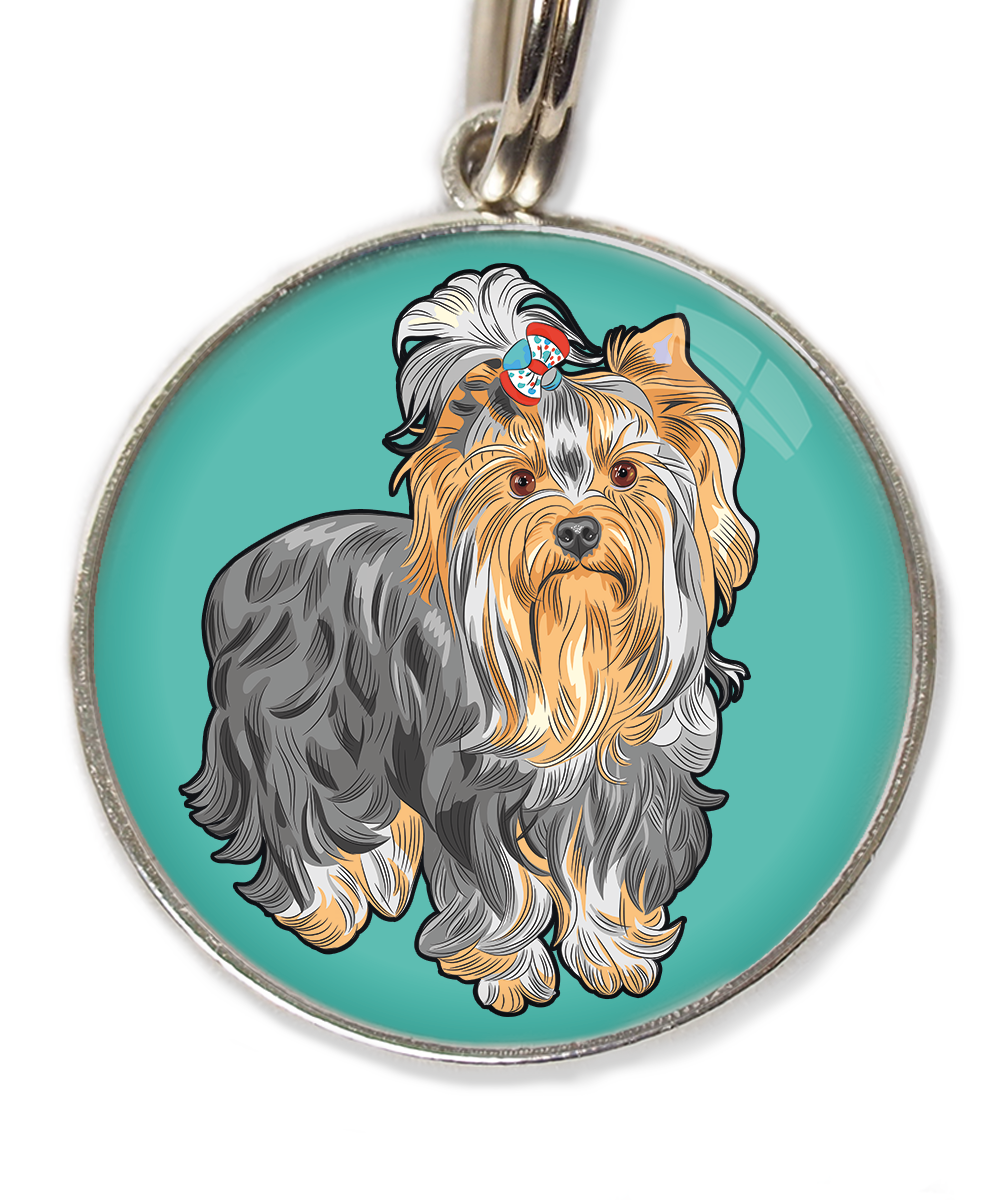 york-free-pik-huisdierpenning-turquoise