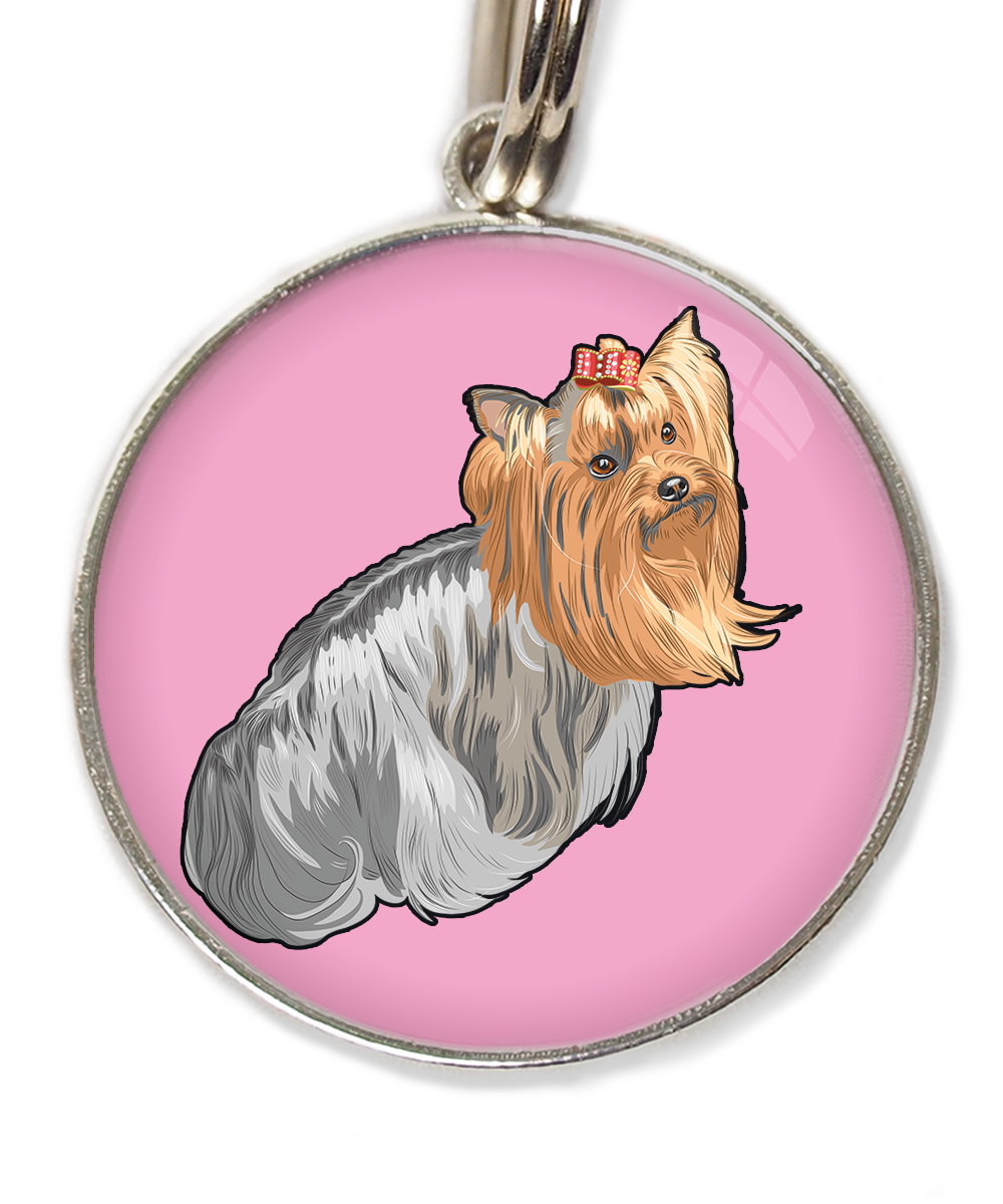 york-sitting-free-pik-huisdierpenning-lichtroos