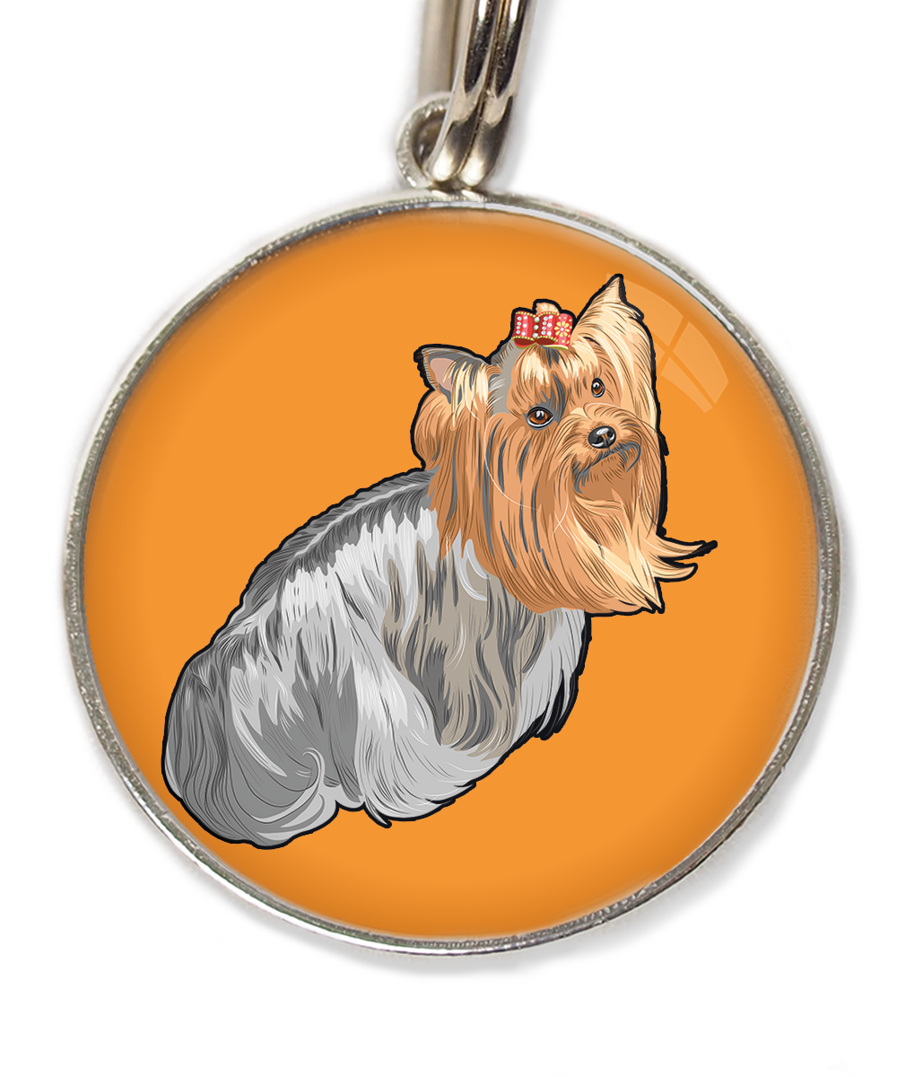 york-sitting-free-pik-huisdierpenning-oranje