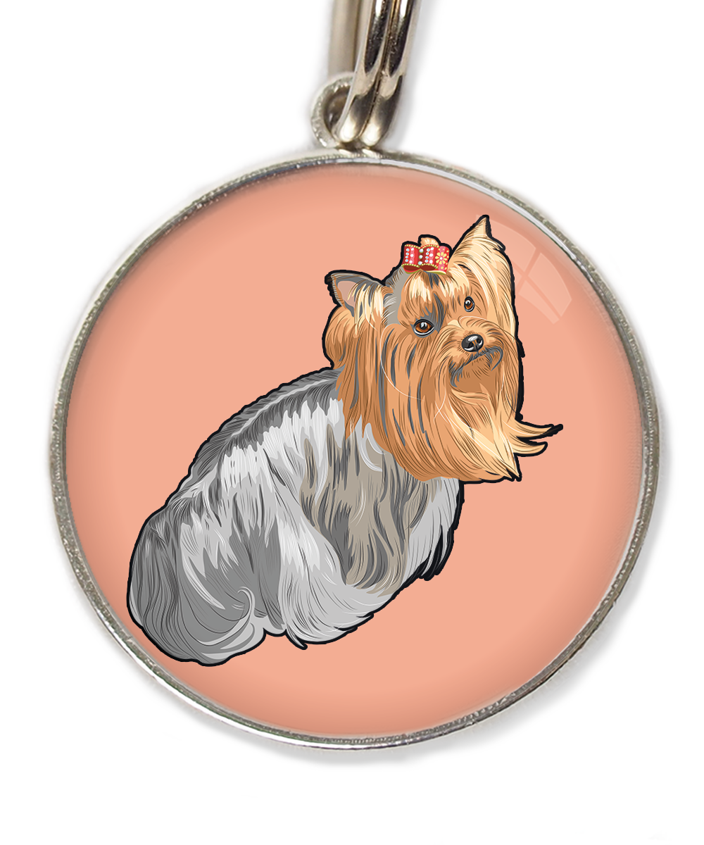 york-sitting-free-pik-huisdierpenning-peach