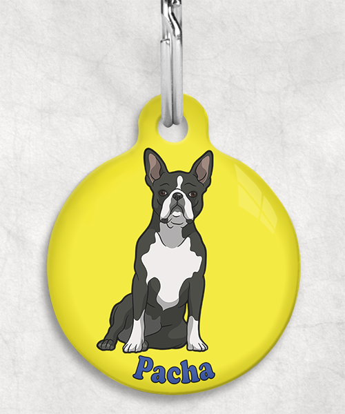 boston-terrier-naam-los-huisdierpenning-geel