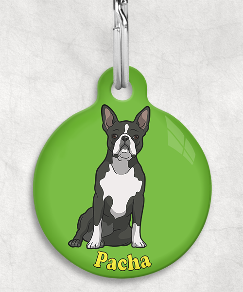 boston-terrier-naam-los-huisdierpenning-groen