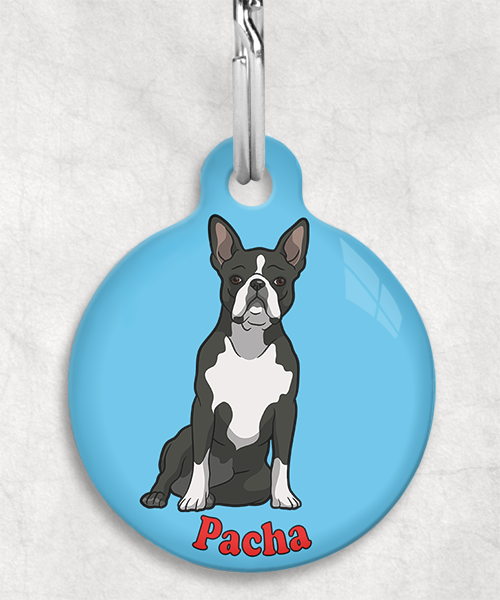 boston-terrier-naam-los-huisdierpenning-lichtblauw