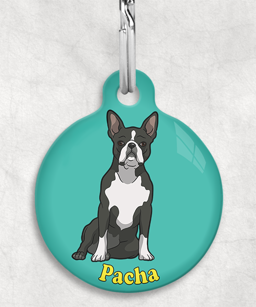 boston-terrier-naam-los-huisdierpenning-turquoise
