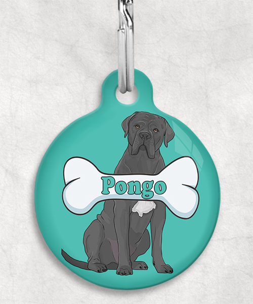 cane-corso-naam-been-huisdierpenning-turquoise
