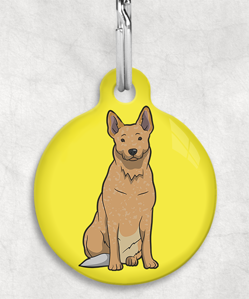 cattle-dog-bruin-zonder-naam-huisdierpenning-geel