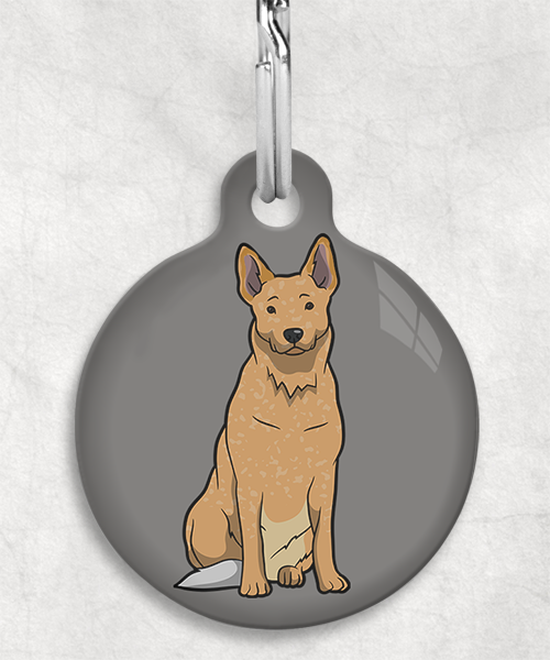 cattle-dog-bruin-zonder-naam-huisdierpenning-lichtgrijs