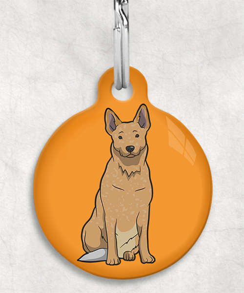 cattle-dog-bruin-zonder-naam-huisdierpenning-oranje