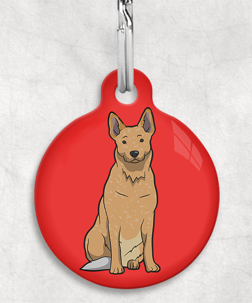 cattle-dog-bruin-zonder-naam-huisdierpenning-rood