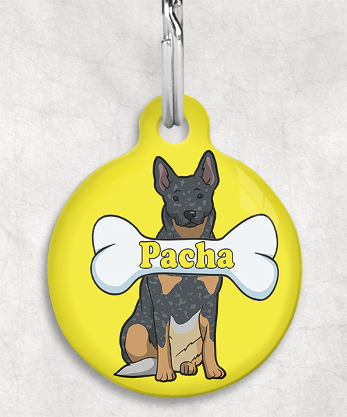 cattle-dog-naam-been-huisdierpenning-geel