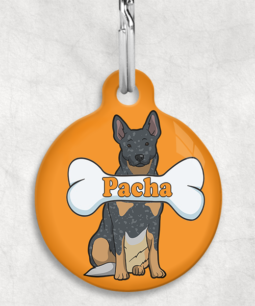 cattle-dog-naam-been-huisdierpenning-oranje