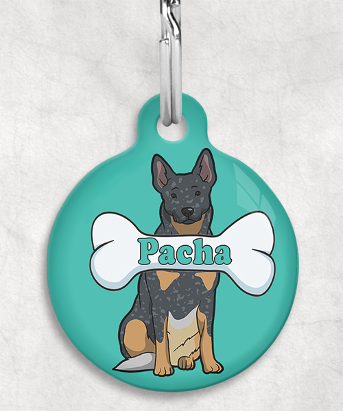 cattle-dog-naam-been-huisdierpenning-turquoise