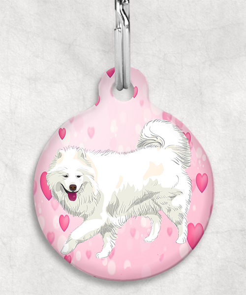 samojeed-zonder-naam-huisdierpenning-hartjes