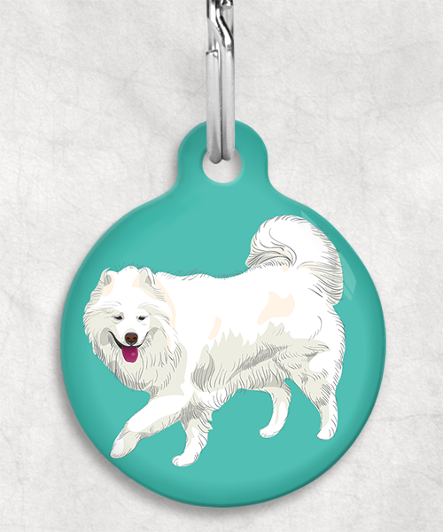 samojeed-zonder-naam-huisdierpenning-turquoise