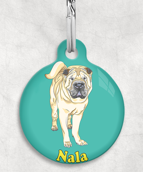 sharpei-naam-los-huisdierpenning-turquoise