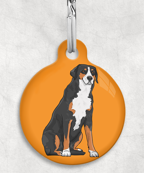 appenzeller-sennenhond-zonder-naam-huisdierpenning-oranje