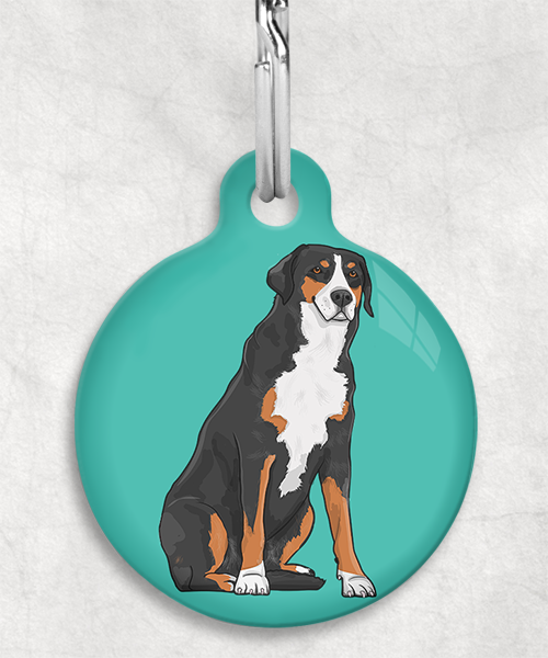 appenzeller-sennenhond-zonder-naam-huisdierpenning-turquoise