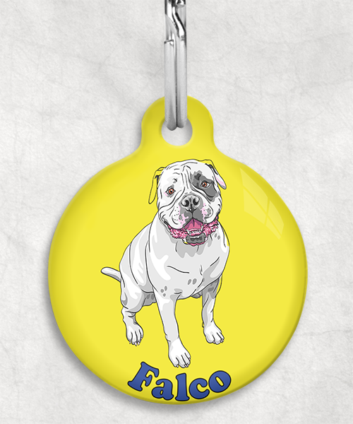 amerikaanse-bulldog-naam-los-huisdierpenning-geel-2