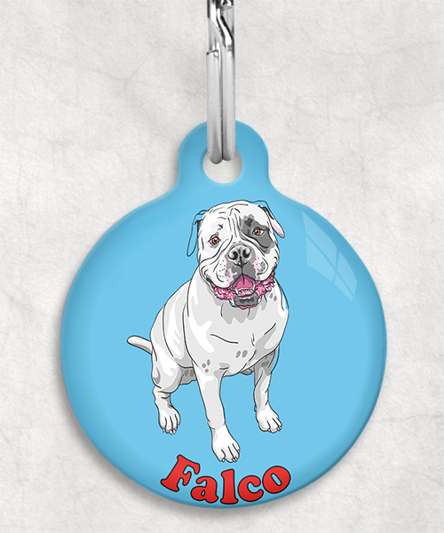 amerikaanse-bulldog-naam-los-huisdierpenning-lichtblauw-2