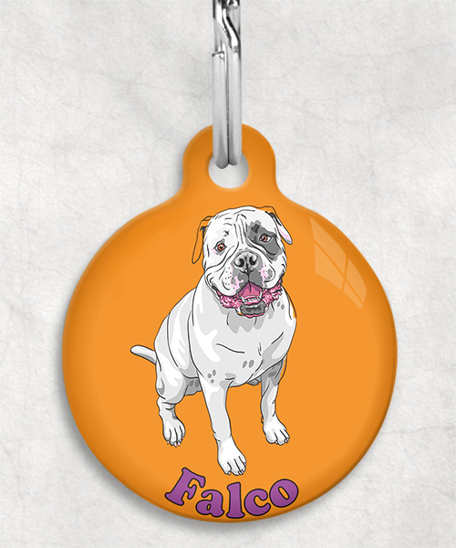 amerikaanse-bulldog-naam-los-huisdierpenning-oranje-2