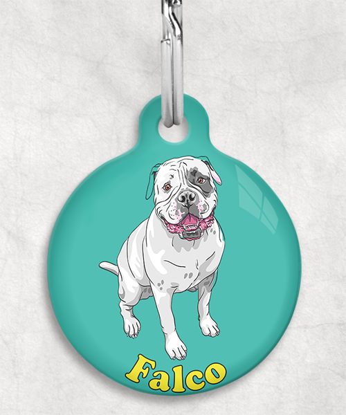 amerikaanse-bulldog-naam-los-huisdierpenning-turquoise-2