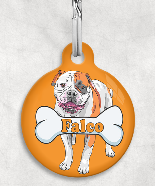 amerikaanse-bulldog-staand-naam-been-huisdierpenning-oranje