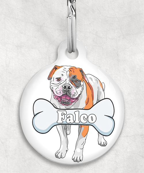 amerikaanse-bulldog-staand-naam-been-huisdierpenning-wit