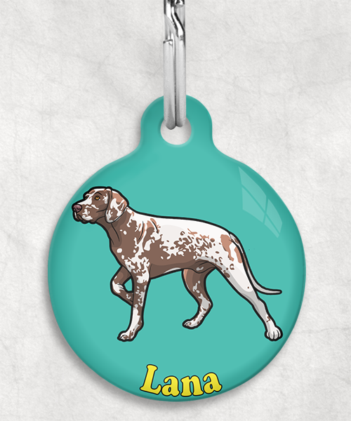 duitse-staande-psd-naam-los-huisdierpenning-turquoise