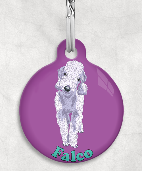 bedington-grijs-terrier-naam-los-huisdierpenning-lilla