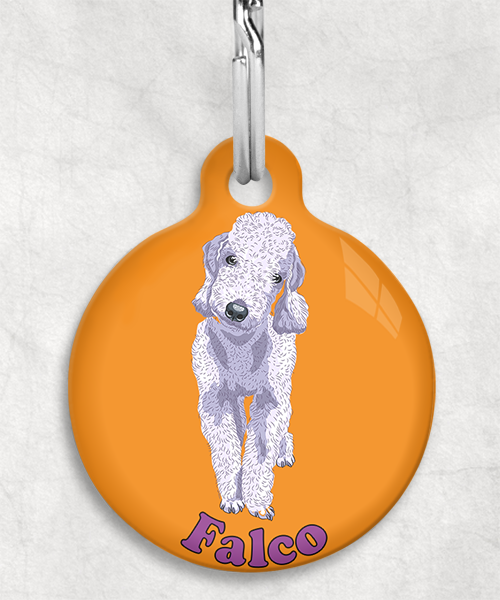 bedington-grijs-terrier-naam-los-huisdierpenning-oranje