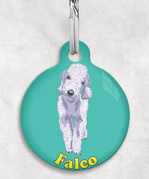 bedington-grijs-terrier-naam-los-huisdierpenning-turquoise