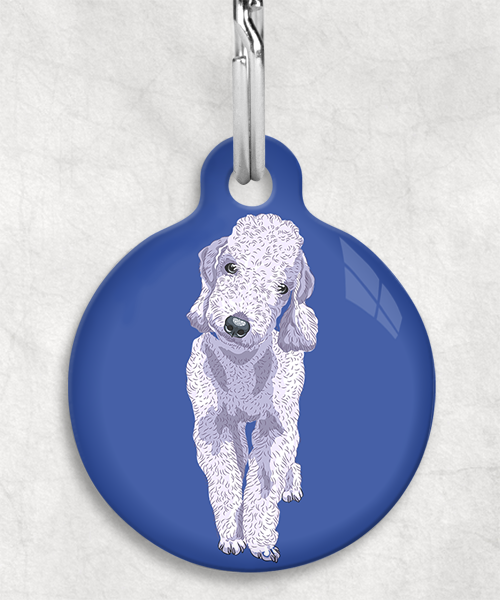 bedington-grijs-terrier-zonder-naam-huisdierpenning-blauw