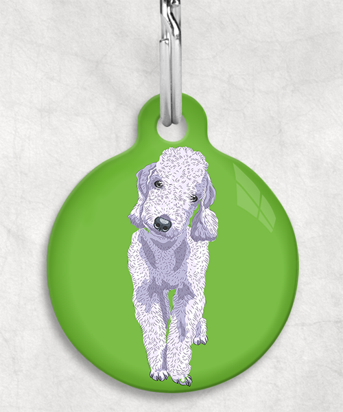 bedington-grijs-terrier-zonder-naam-huisdierpenning-groen