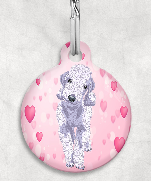 bedington-grijs-terrier-zonder-naam-huisdierpenning-hartjes