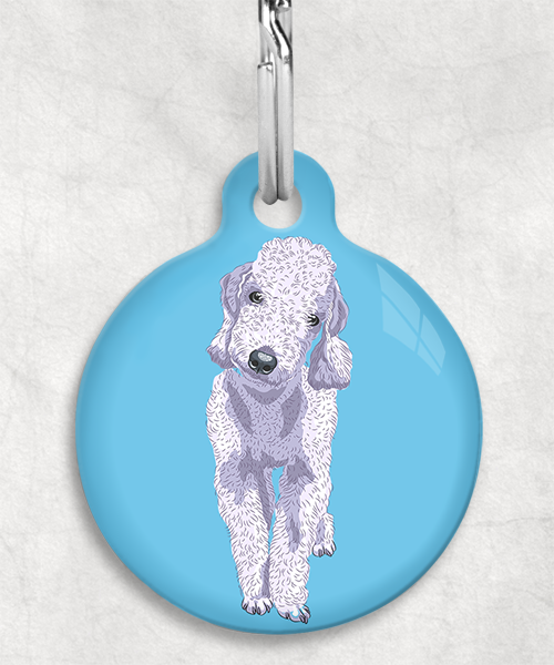 bedington-grijs-terrier-zonder-naam-huisdierpenning-lichtblauw
