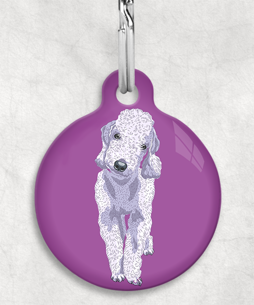 bedington-grijs-terrier-zonder-naam-huisdierpenning-lilla