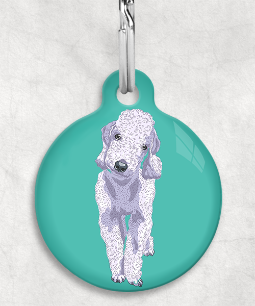 bedington-grijs-terrier-zonder-naam-huisdierpenning-turquoise