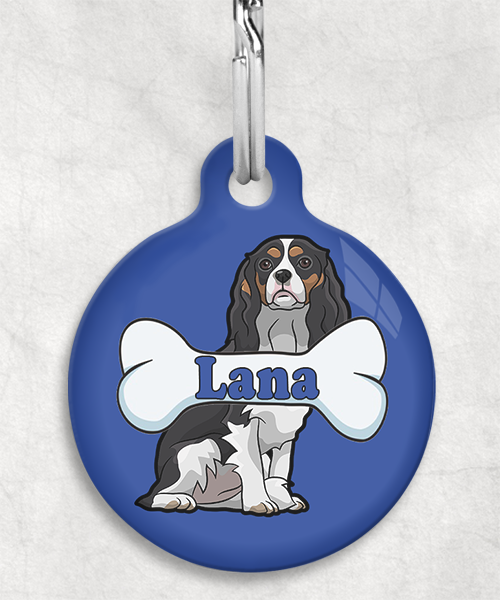 cavalier-naam-been-huisdierpenning-blauw-2