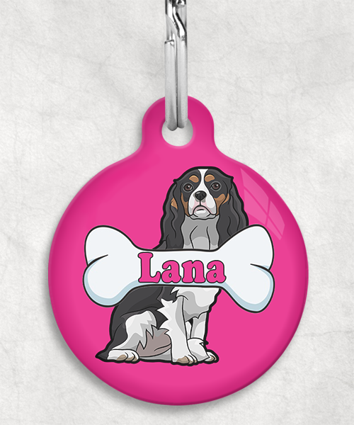 cavalier-naam-been-huisdierpenning-fushia-2