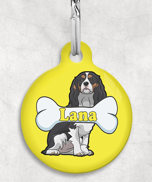 cavalier-naam-been-huisdierpenning-geel-2