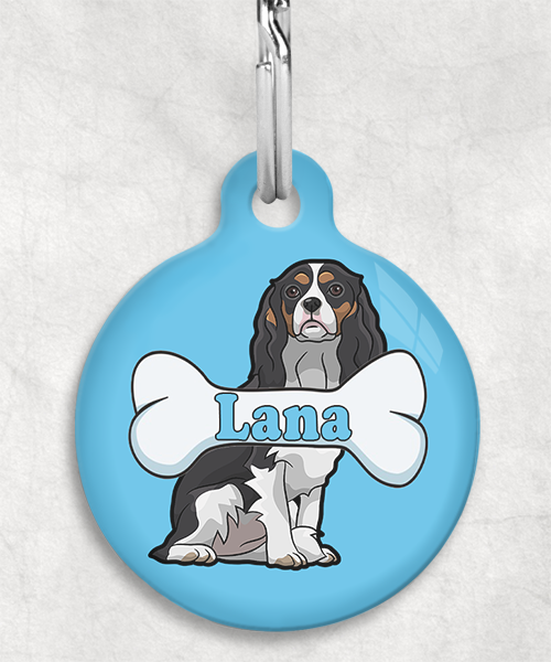 cavalier-naam-been-huisdierpenning-lichtblauw-2