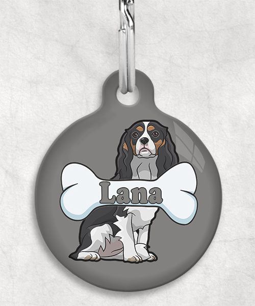 cavalier-naam-been-huisdierpenning-lichtgrijs-2