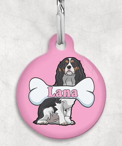 cavalier-naam-been-huisdierpenning-lichtroze-2