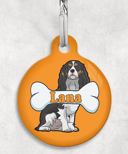 cavalier-naam-been-huisdierpenning-oranje-2