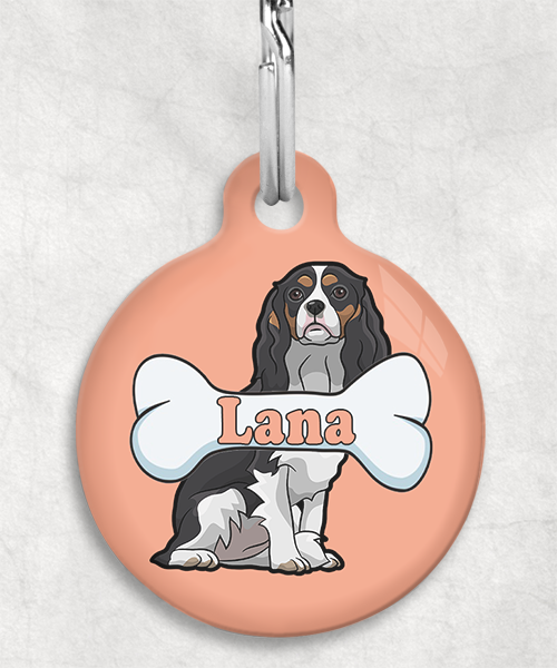 cavalier-naam-been-huisdierpenning-peach-2