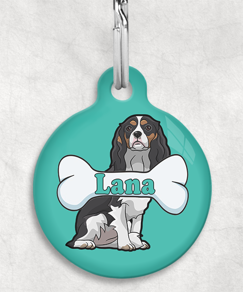 cavalier-naam-been-huisdierpenning-turquoise-2
