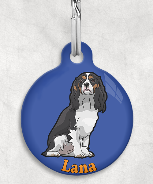 cavalier-naam-los-huisdierpenning-blauw-2