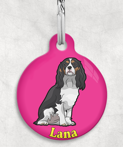 cavalier-naam-los-huisdierpenning-fushia-2